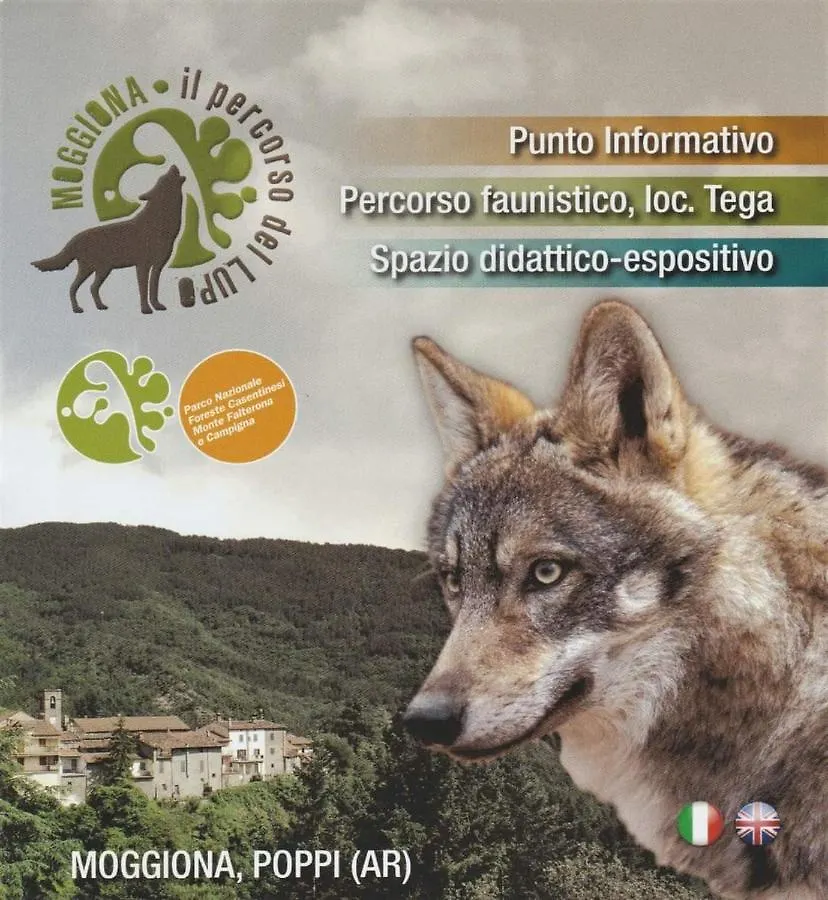 Appartamento La Marzagrappola Moggiona Italia