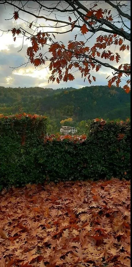 Appartamento La Marzagrappola Moggiona